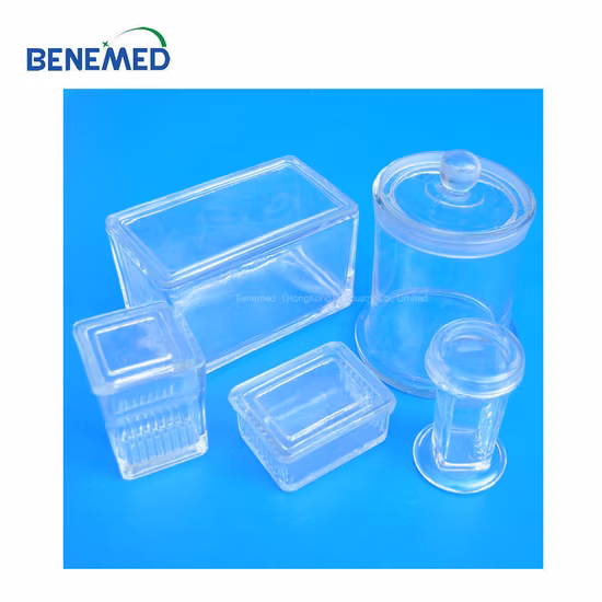 Lab Glass Microscope Slides Staining Jar with Slide Rack 5 PCS
