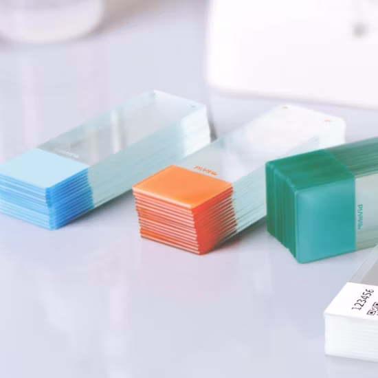 Slide Staining Jar Specially Designed for Manual Operation
