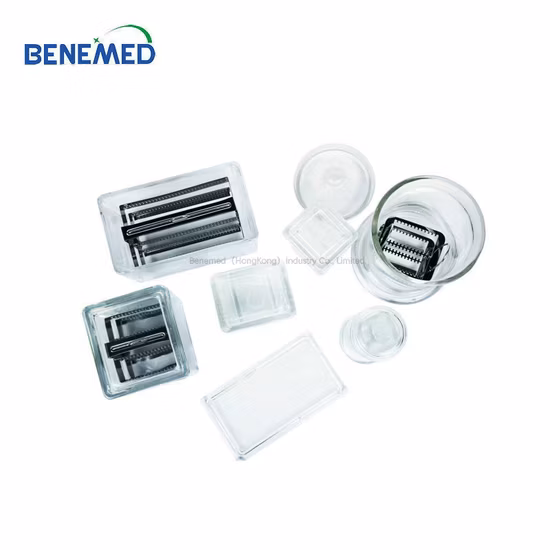 Lab Glass Microscope Slides Staining Jar with Slide Rack 5 PCS